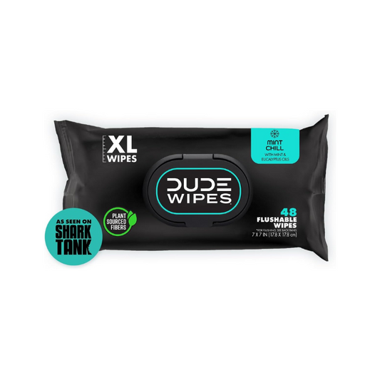 DUDE Wipes - Flushable Wipes (Pack 4)